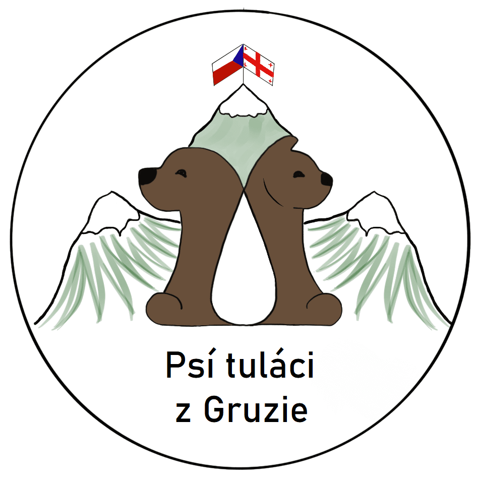 psi tulaci z gruzie